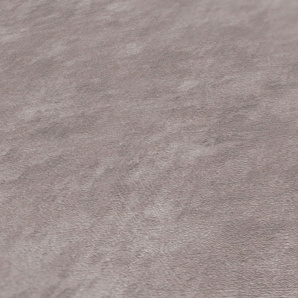 A.S. Création Обои Terra 2022 A.S. Création Обои Terra 2022