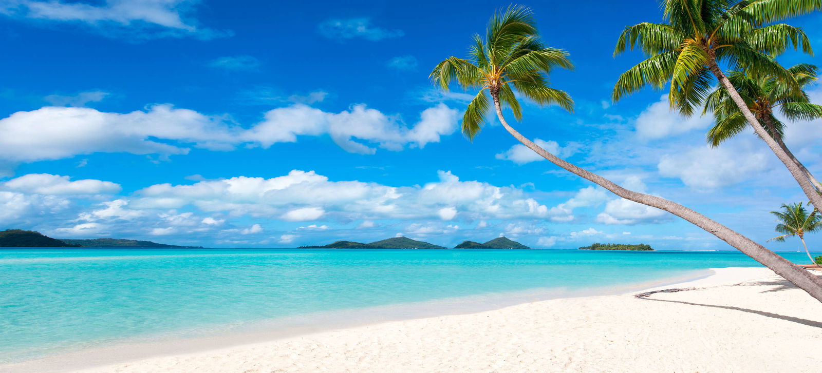 livingwalls impression numérique XXLwallpaper 3