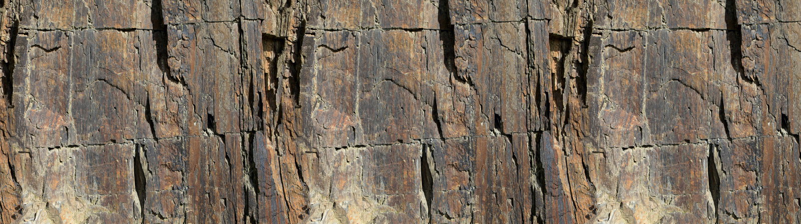 Architects Paper Fototapete AP Digital