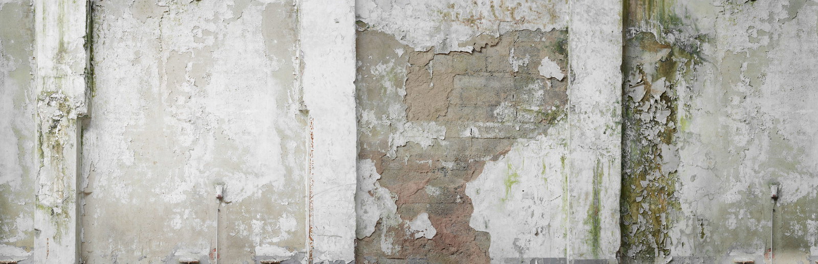 Architects Paper Fototapete AP Digital 4