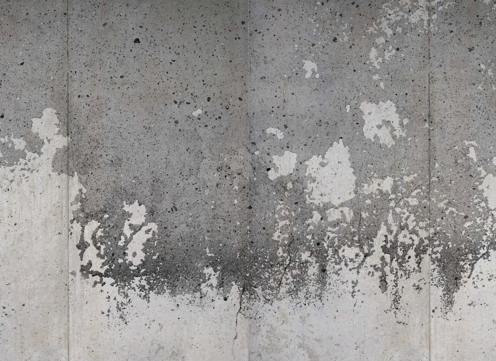 livingwalls Фотообои Designwalls 2