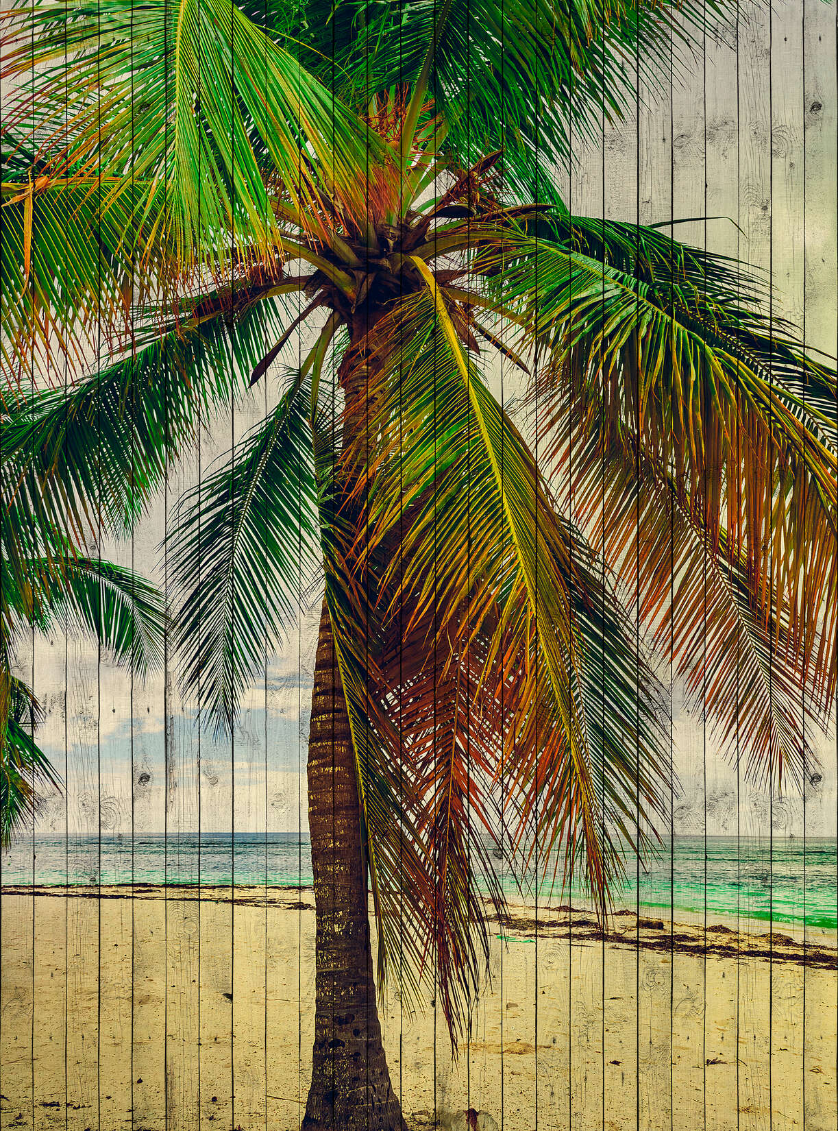 walls by patel Fotobehang Walls by Patel 2