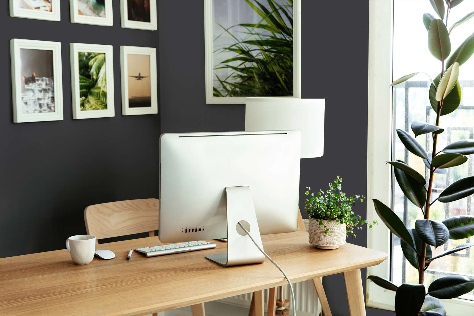 The Color Kitchen Kleur Color Kitchen