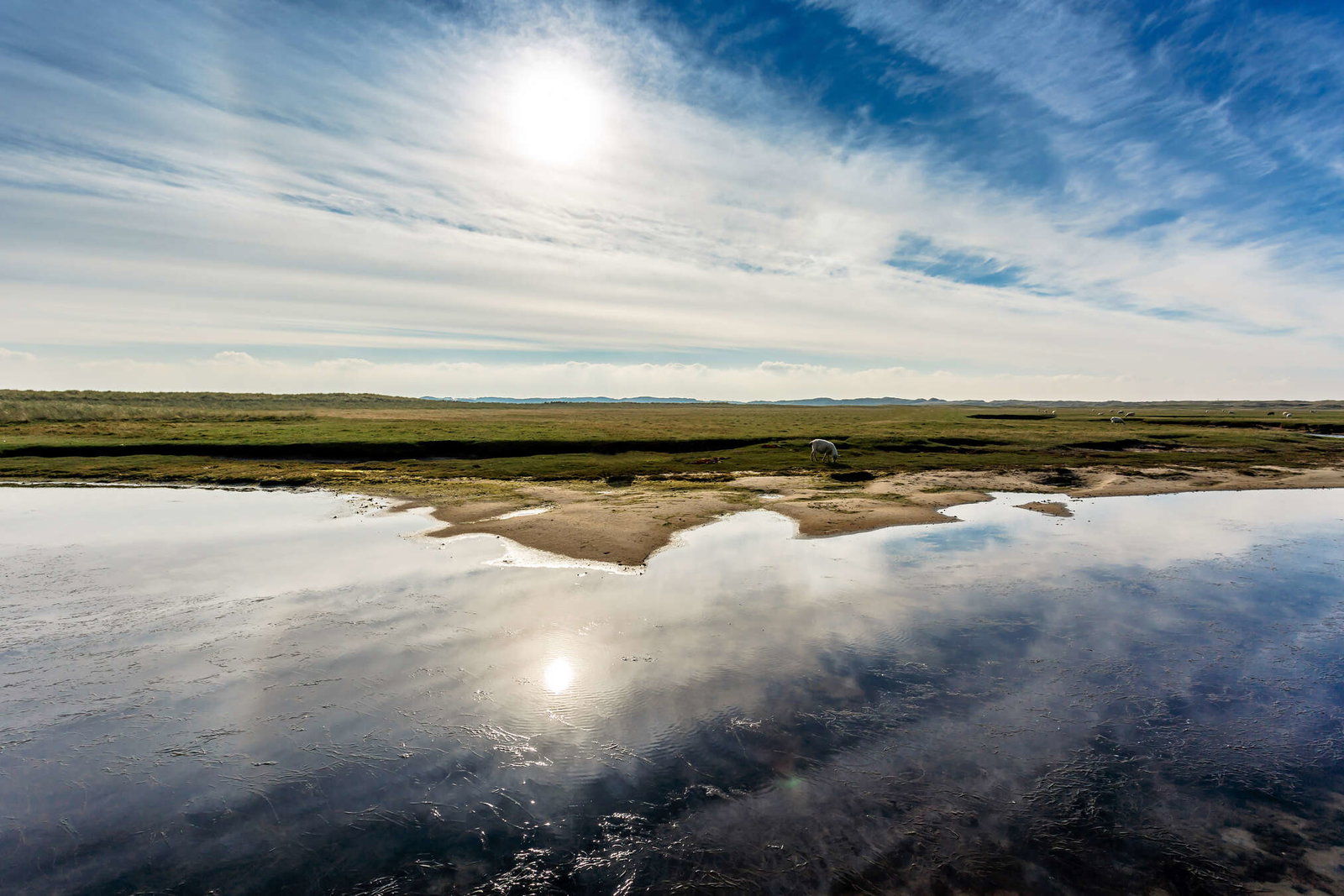 Architects Paper impression numérique AP Digital 2