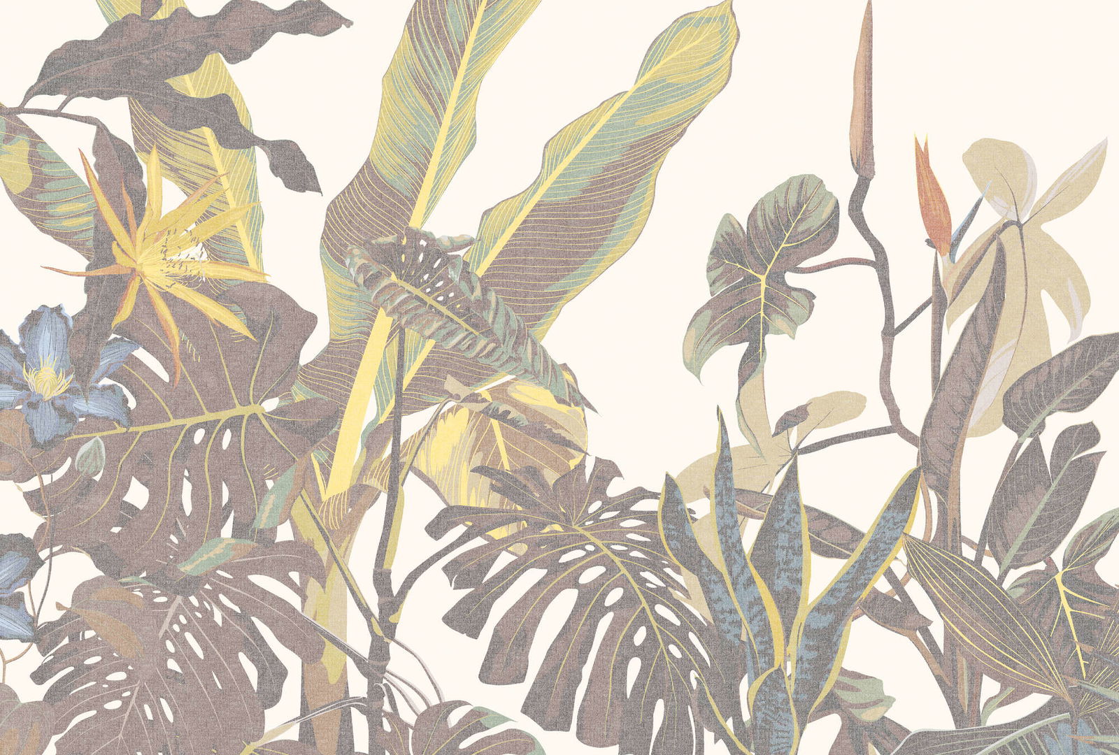 walls by patel Photo wallpaper Walls by Patel 5