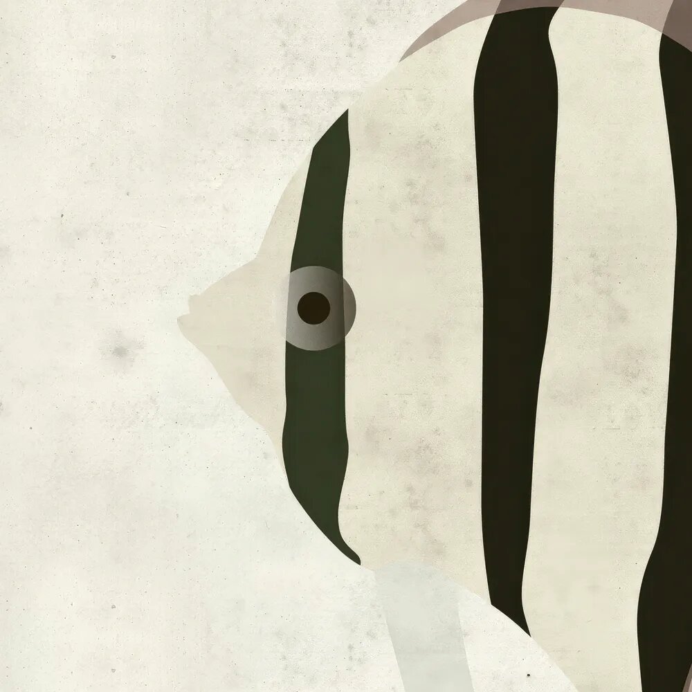 walls by patel Photo wallpaper Walls by Patel 5