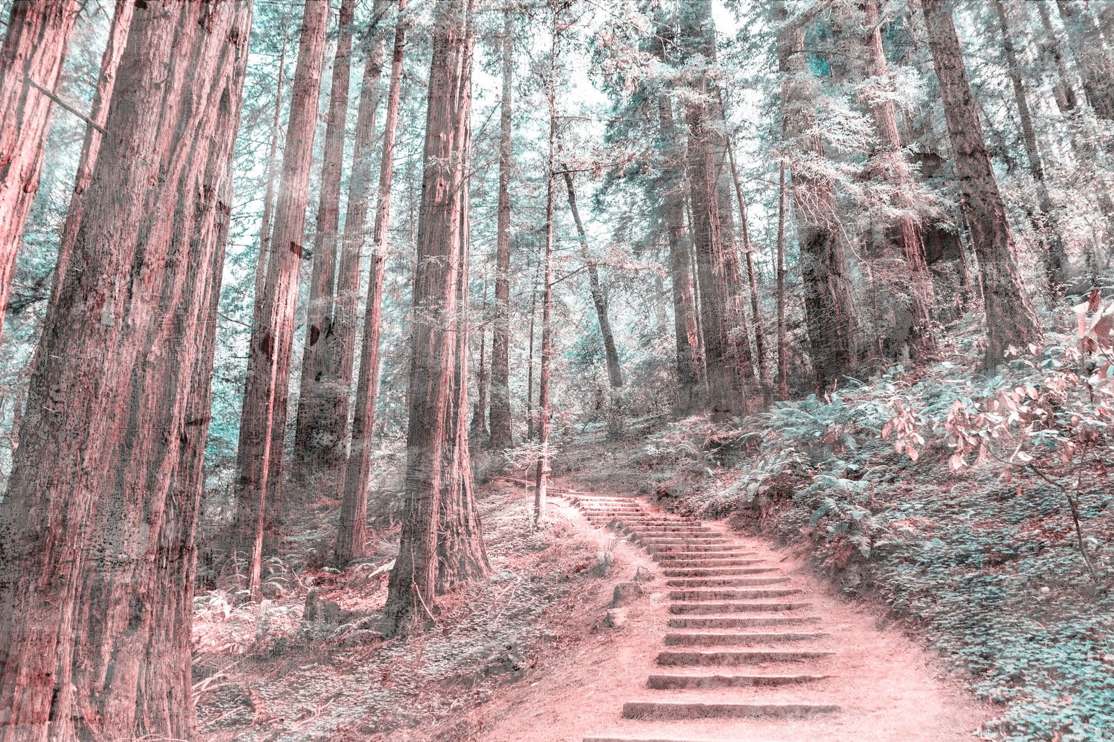 livingwalls Fotobehang Designwalls