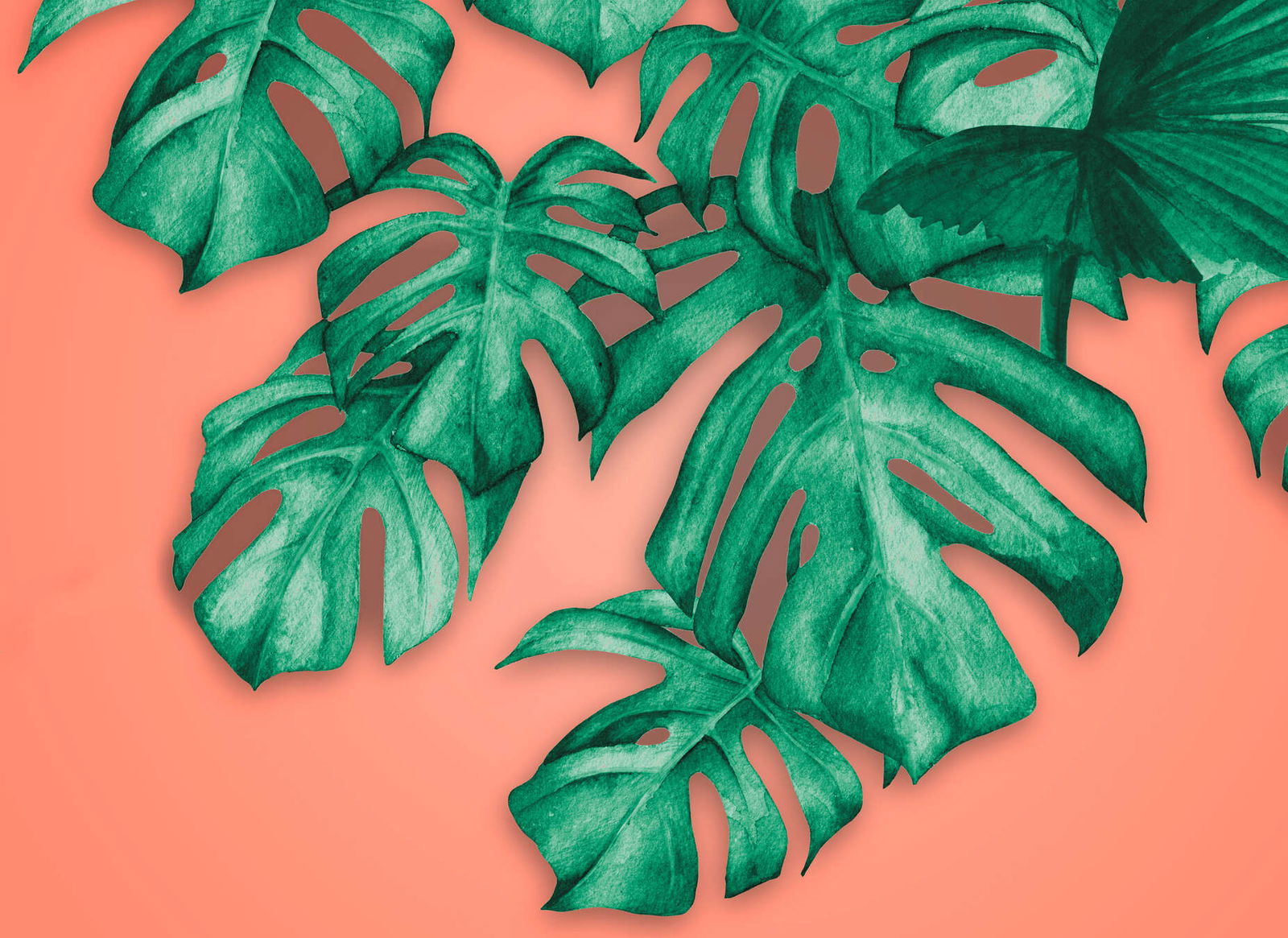 livingwalls Photo wallpaper Designwalls 2