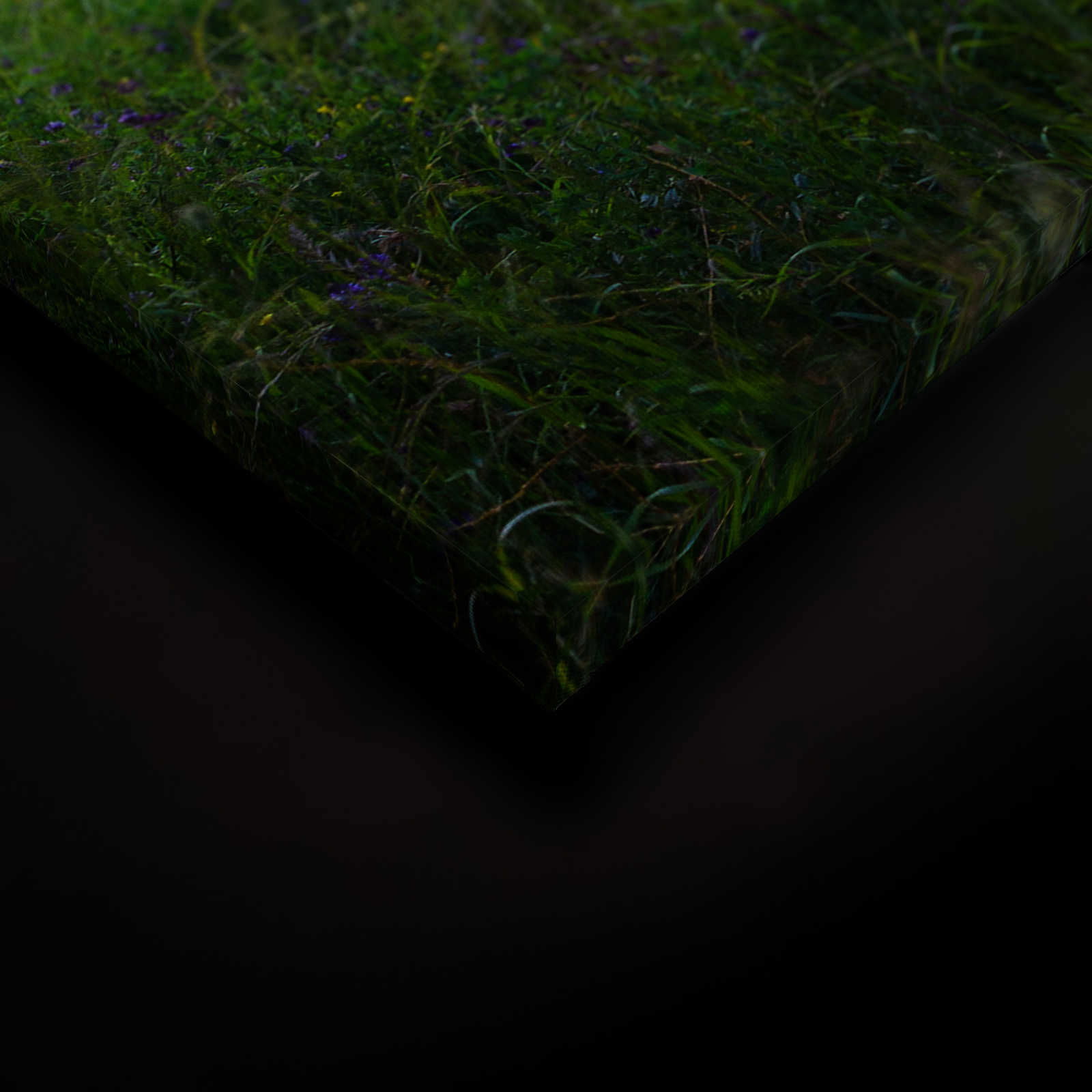 livingwalls tableau sur toile Designwalls livingwalls tableau sur toile Designwalls
