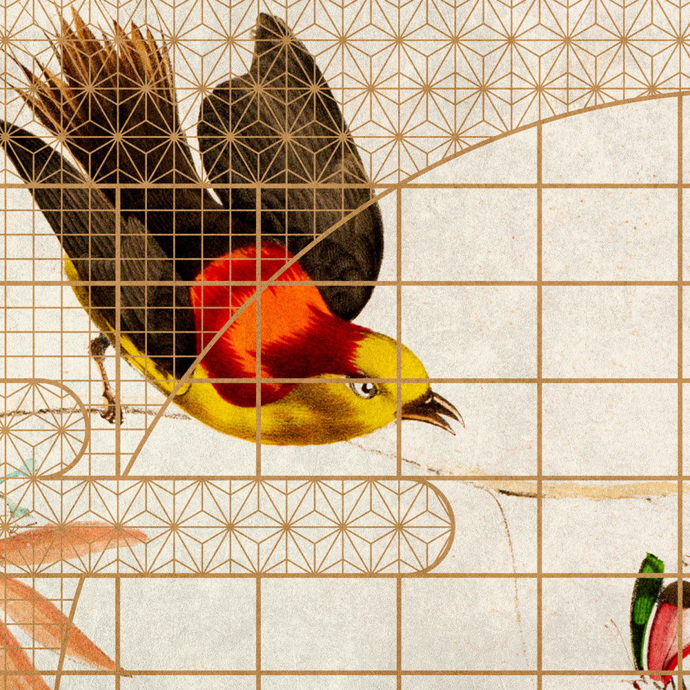 walls by patel Fototapete Walls by Patel 3 walls by patel Fototapete Walls by Patel 3