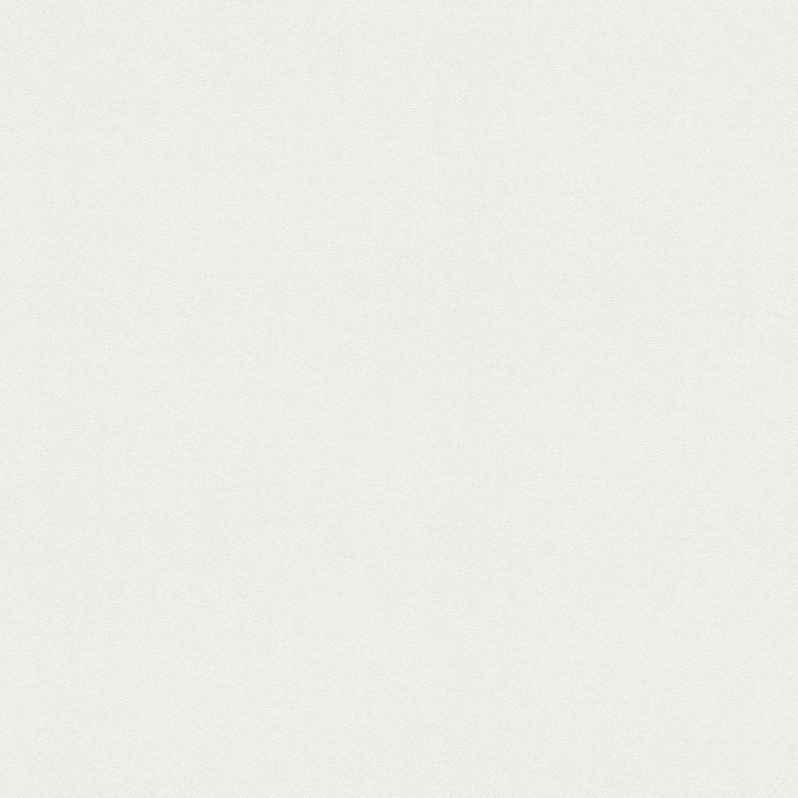 A.S. Création Tapete Meistervlies Create A.S. Création Tapete Meistervlies Create