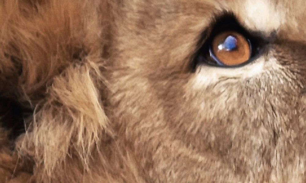 walls by patel Фотообои Walls by Patel