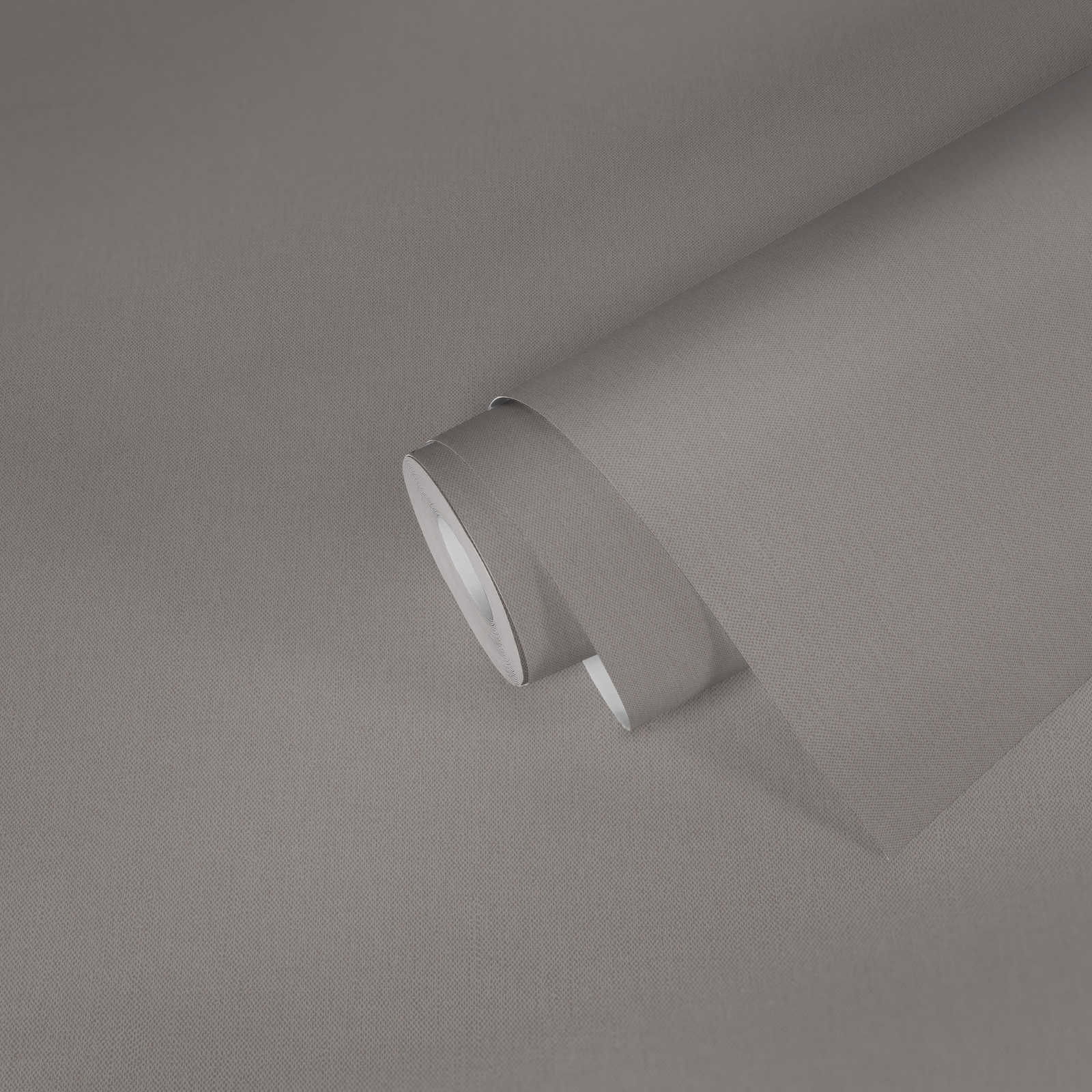 Architects Paper Wallpaper Jungle Chic