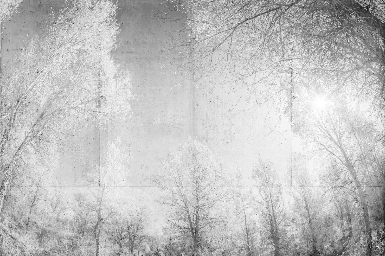 Architects Paper Fototapete Atelier 47