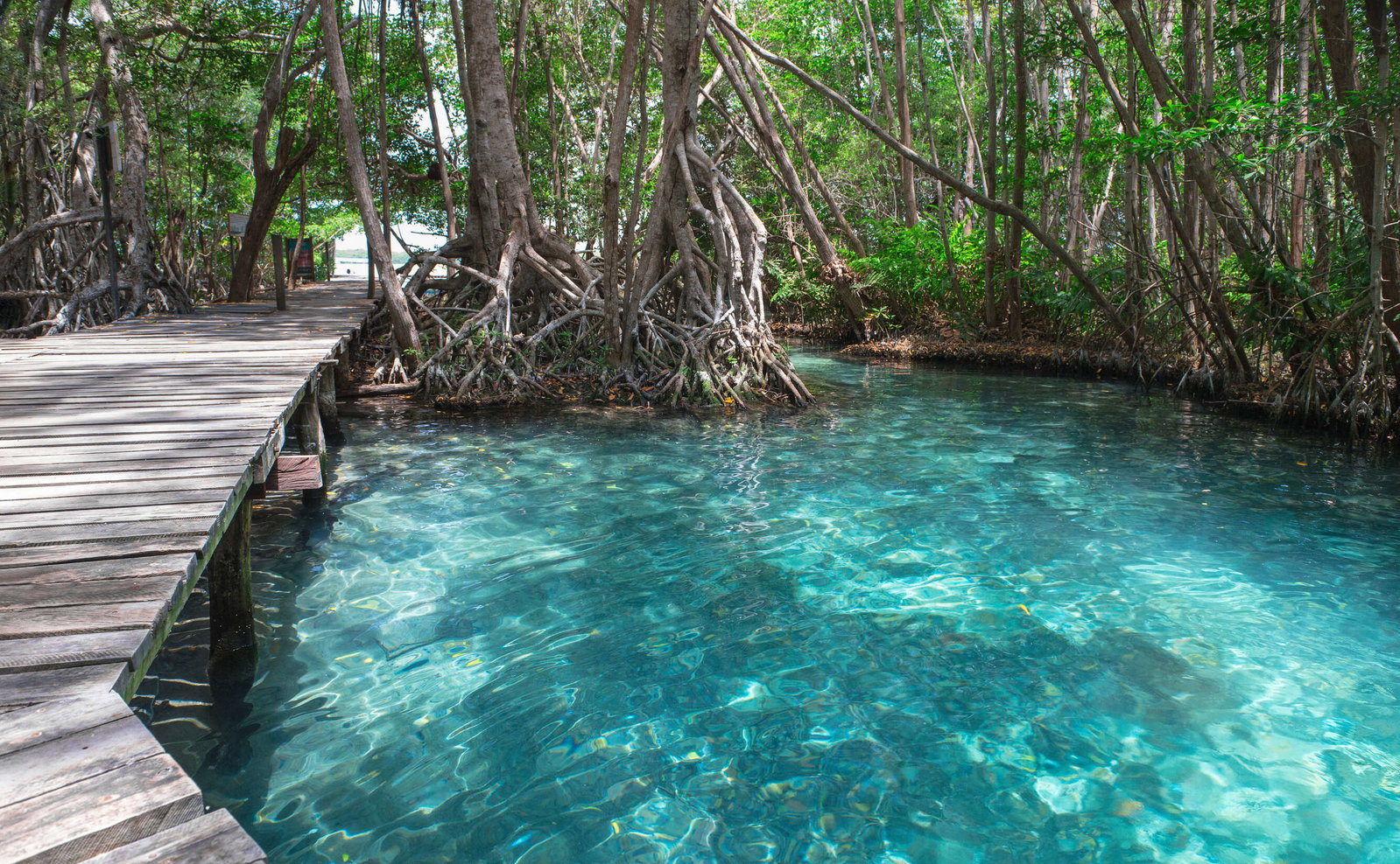 livingwalls Fototapete Designwalls