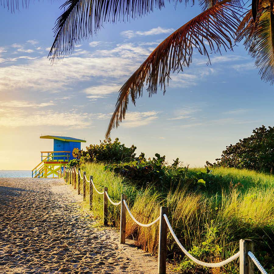 livingwalls Fotobehang XXL unique