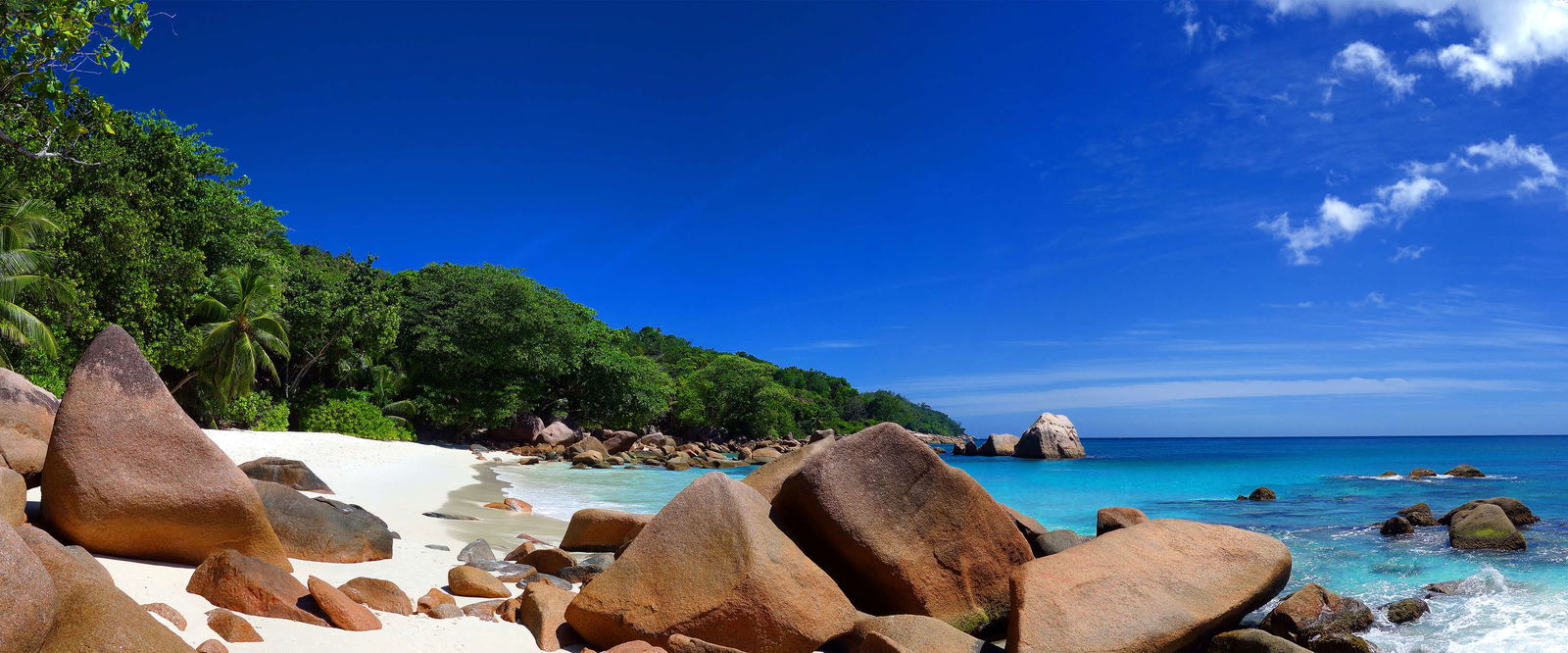 Architects Paper Photo wallpaper AP Digital 3