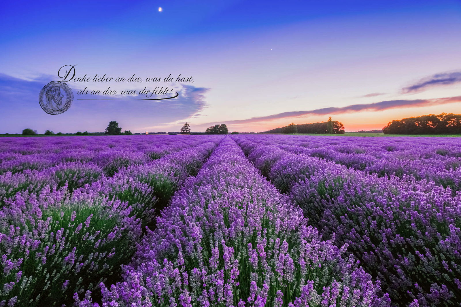 livingwalls impression numérique XXLwallpaper 3