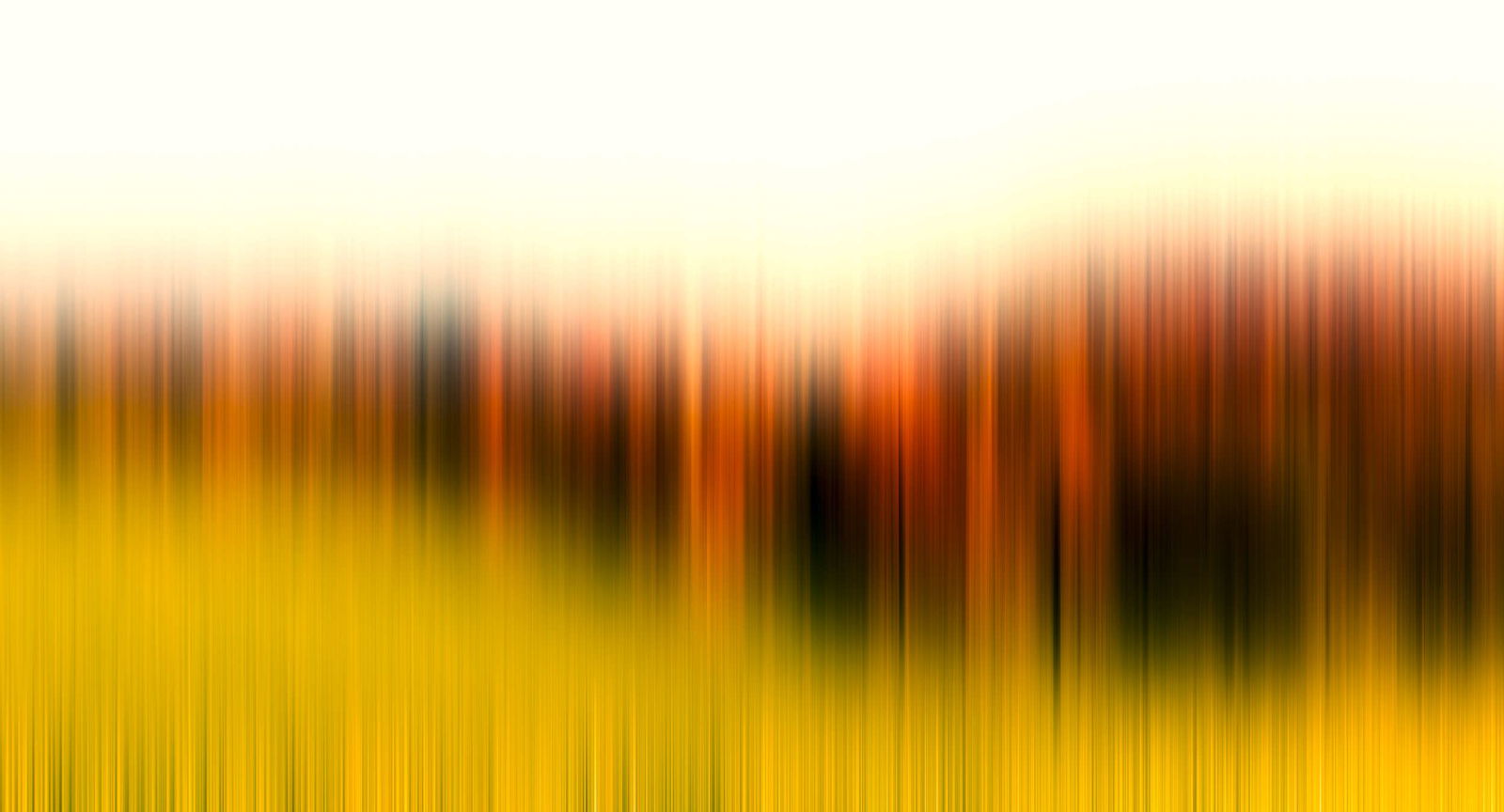 Architects Paper Fototapete Atelier 47 Architects Paper Fototapete Atelier 47