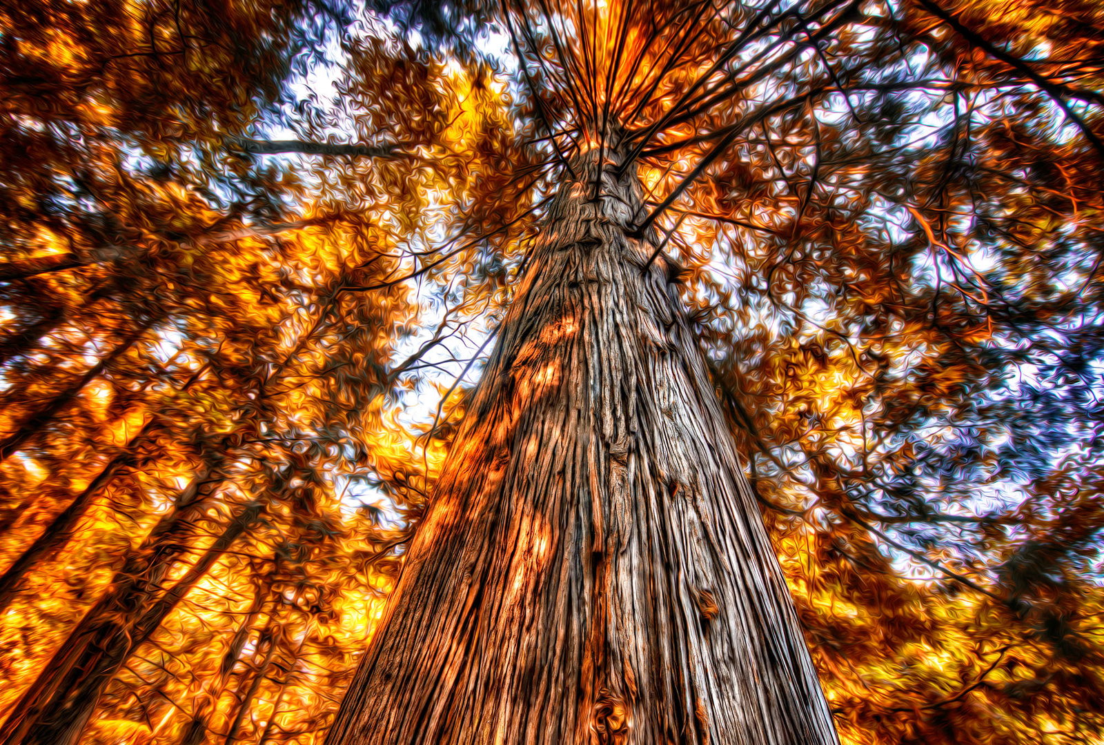 Architects Paper impression numérique AP Digital 2