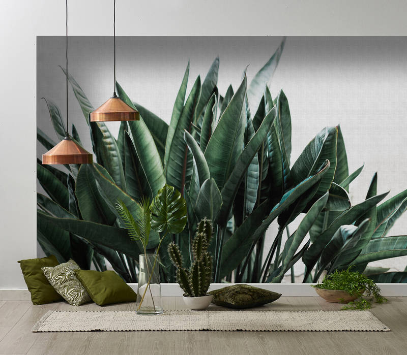 walls by patel Photo wallpaper Walls by Patel 2