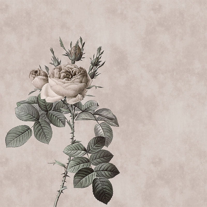 walls by patel Photo wallpaper Walls by Patel