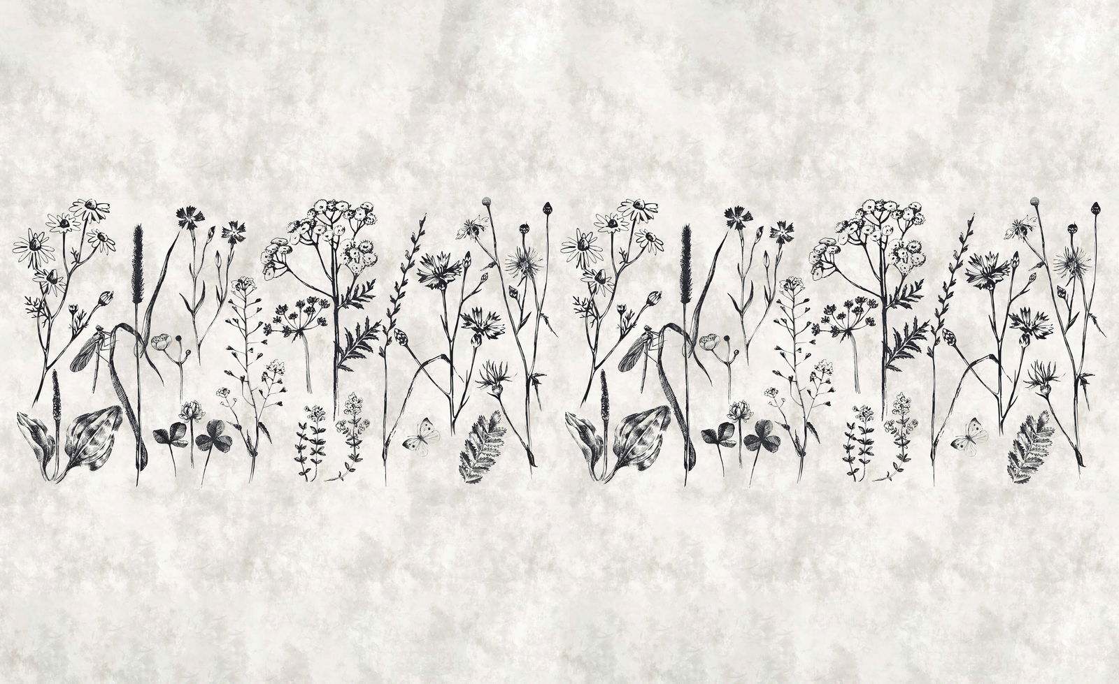 walls by patel impression numérique Walls by Patel