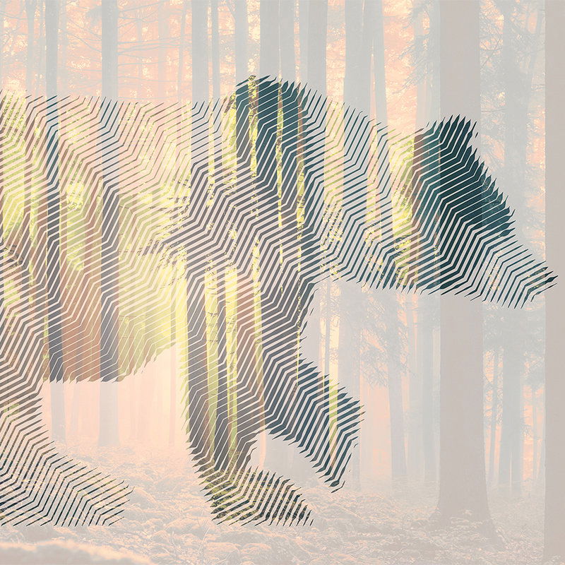 Architects Paper Fototapete Atelier 47 Architects Paper Fototapete Atelier 47