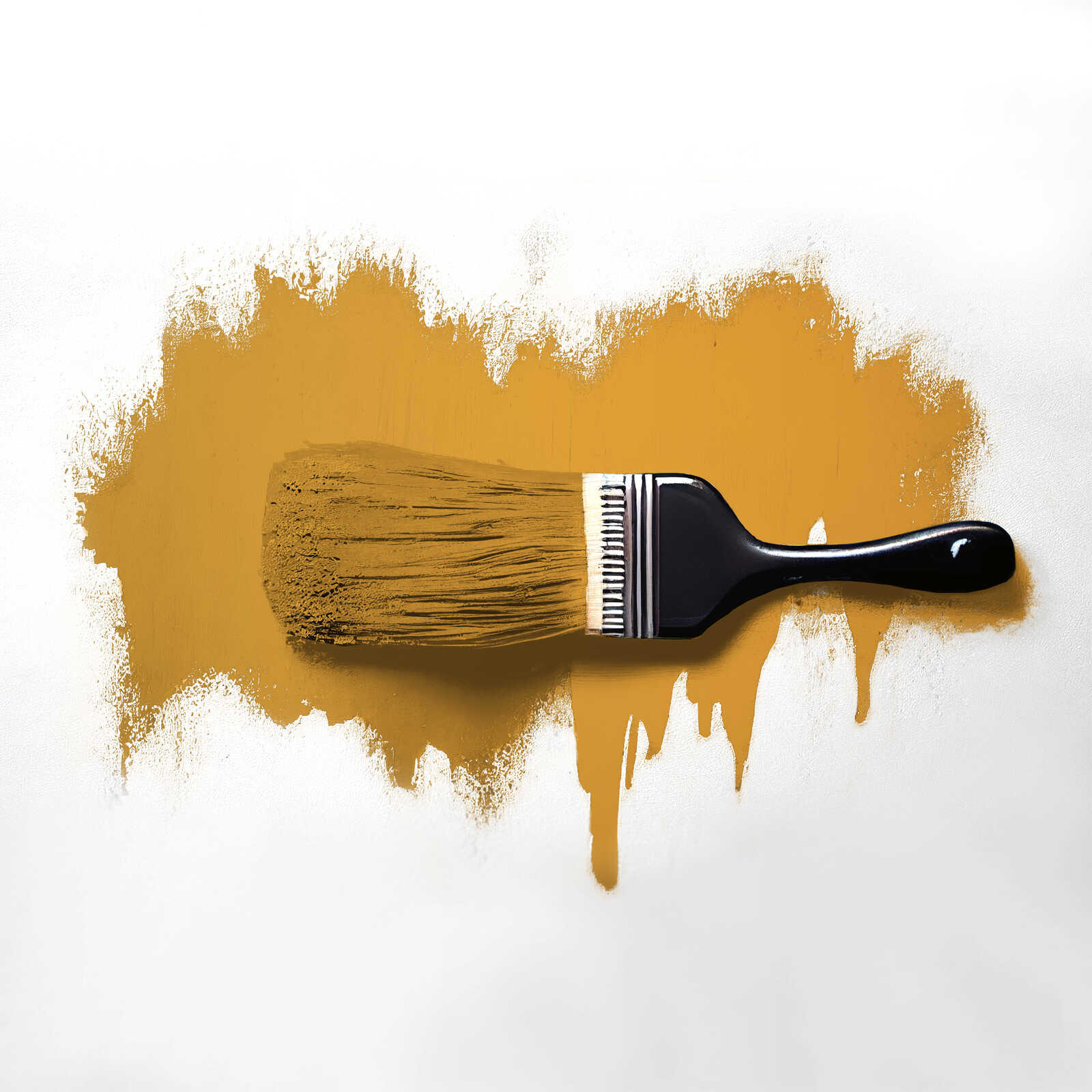 The Color Kitchen Kleur Color Kitchen