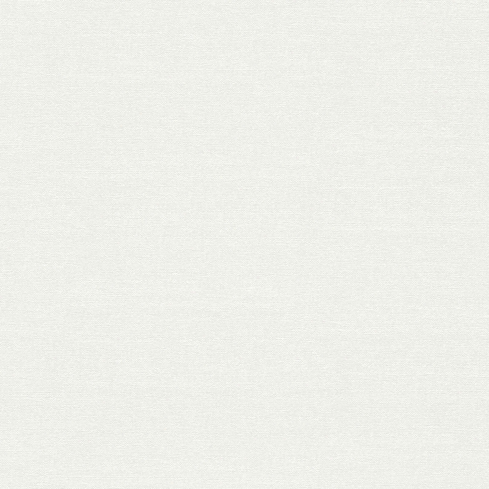 A.S. Création Tapete Meistervlies Create