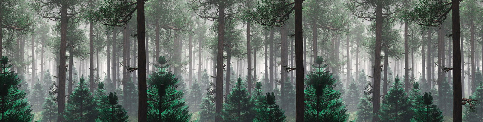 livingwalls Fototapete Designwalls 2