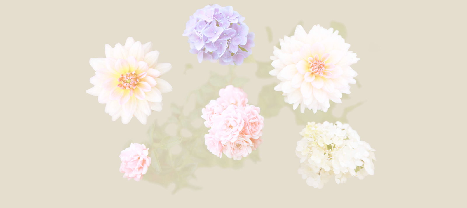 Architects Paper Fototapete AP Digital 3