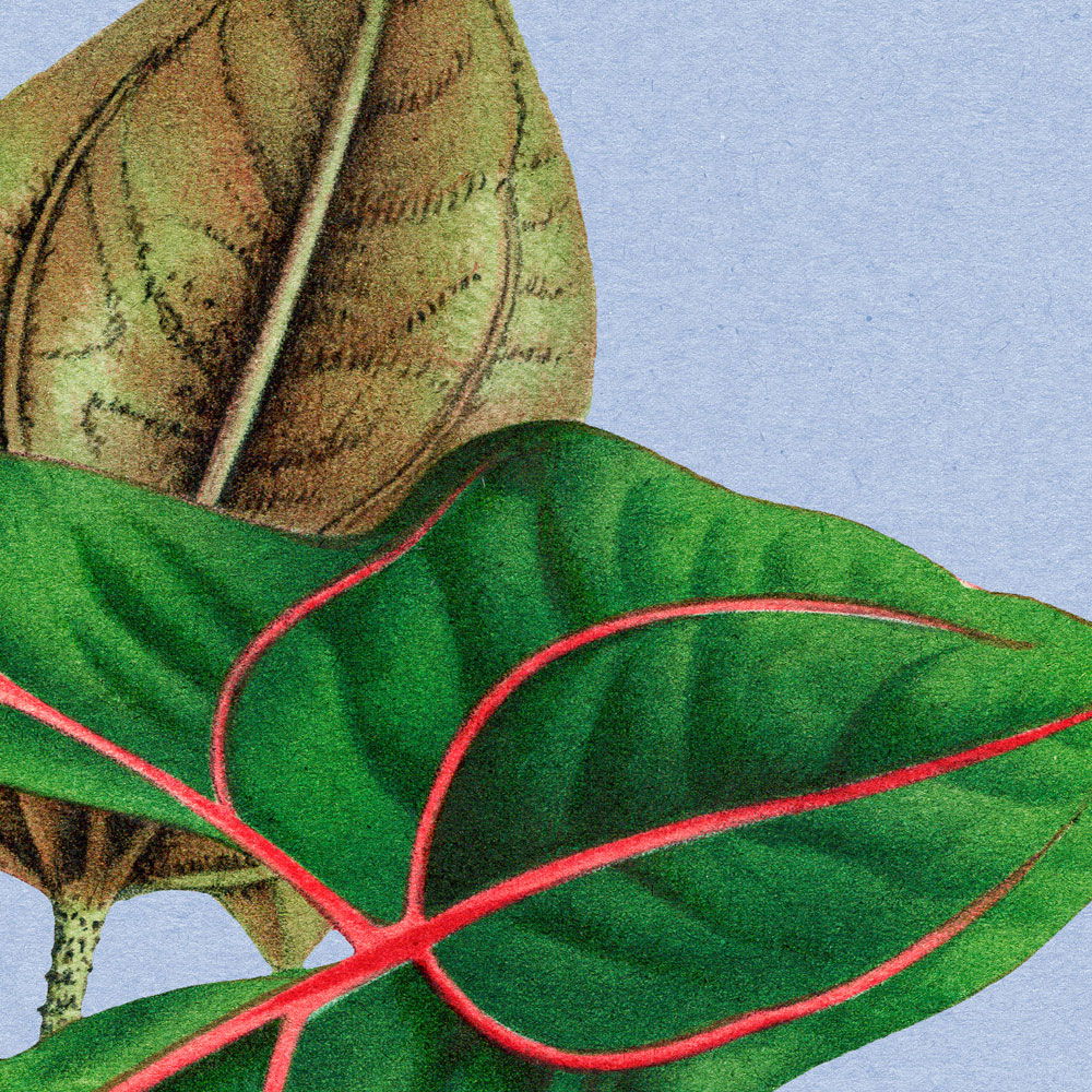 walls by patel Fototapete Walls by Patel 3