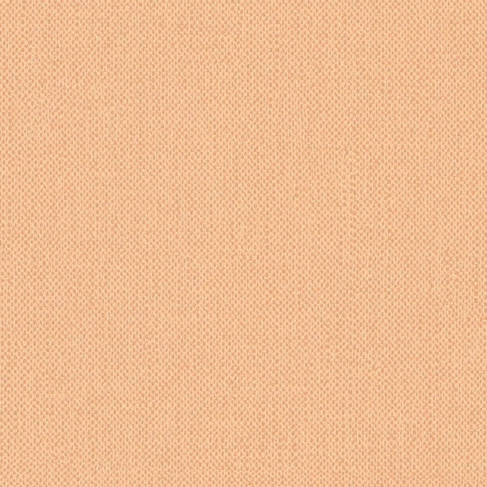 Architects Paper Wallpaper Jungle Chic
