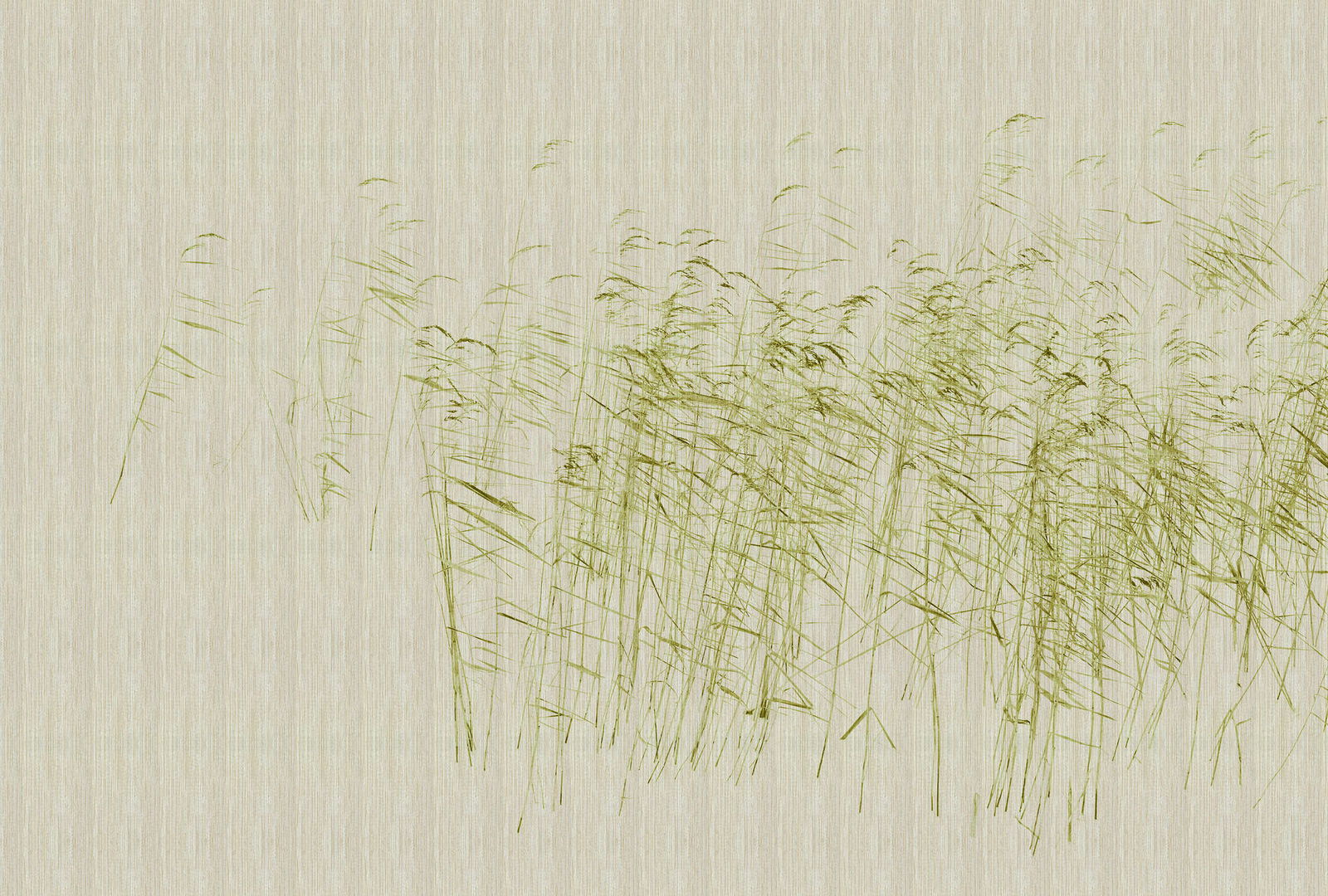walls by patel Fototapete Walls by Patel 3 walls by patel Fototapete Walls by Patel 3