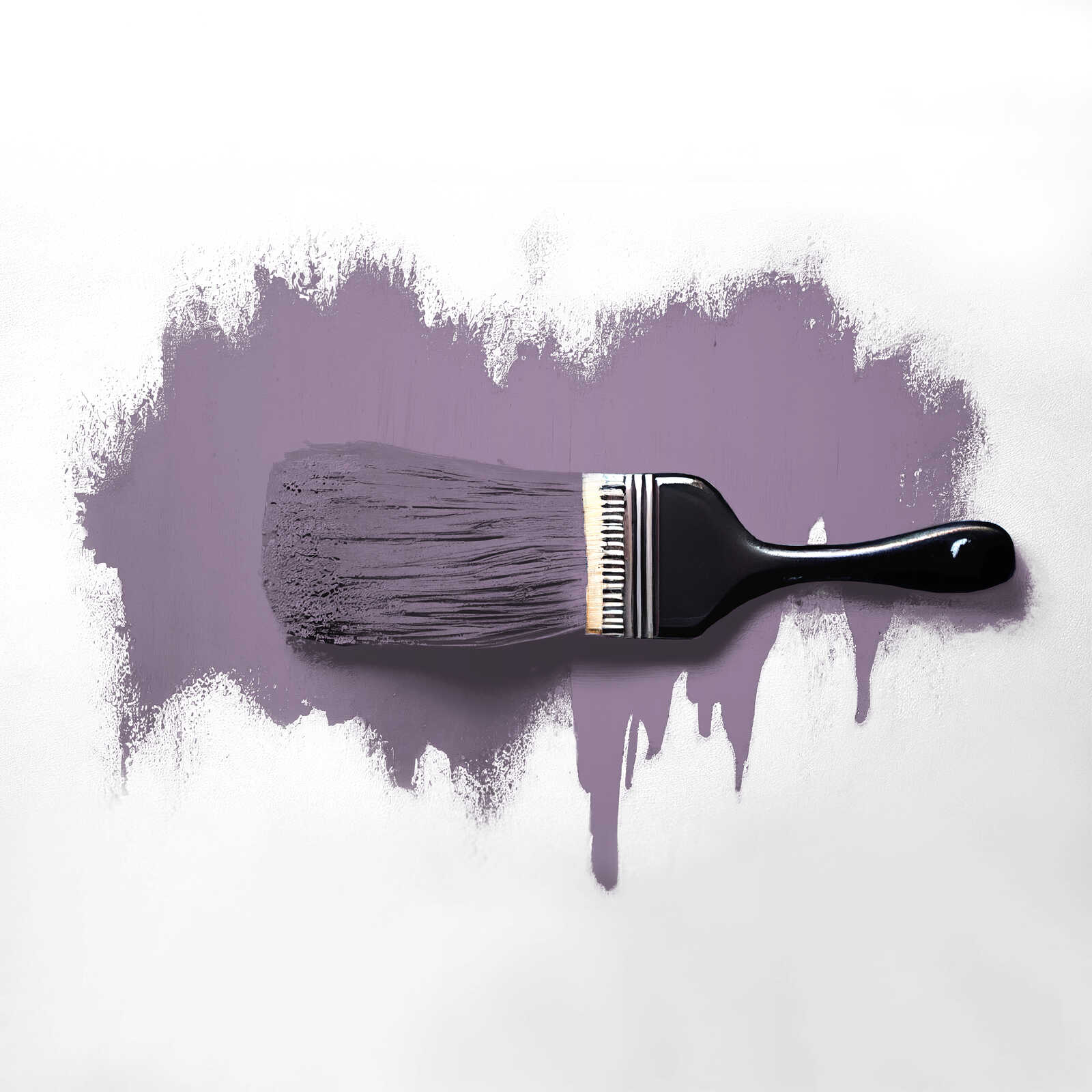 The Color Kitchen Farbe Color Kitchen