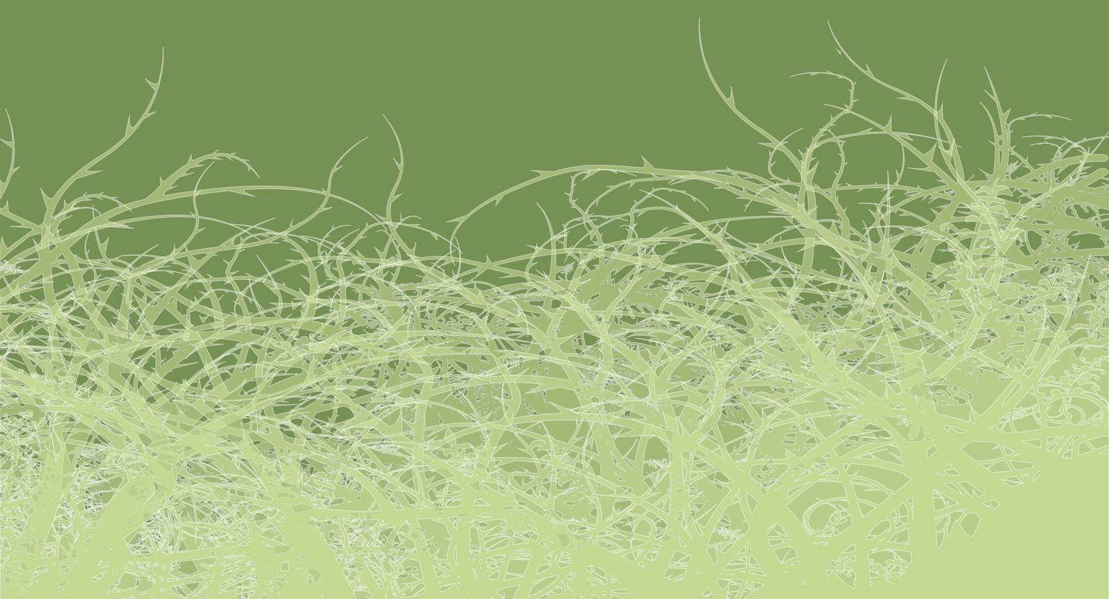 Architects Paper Fototapete Atelier 47