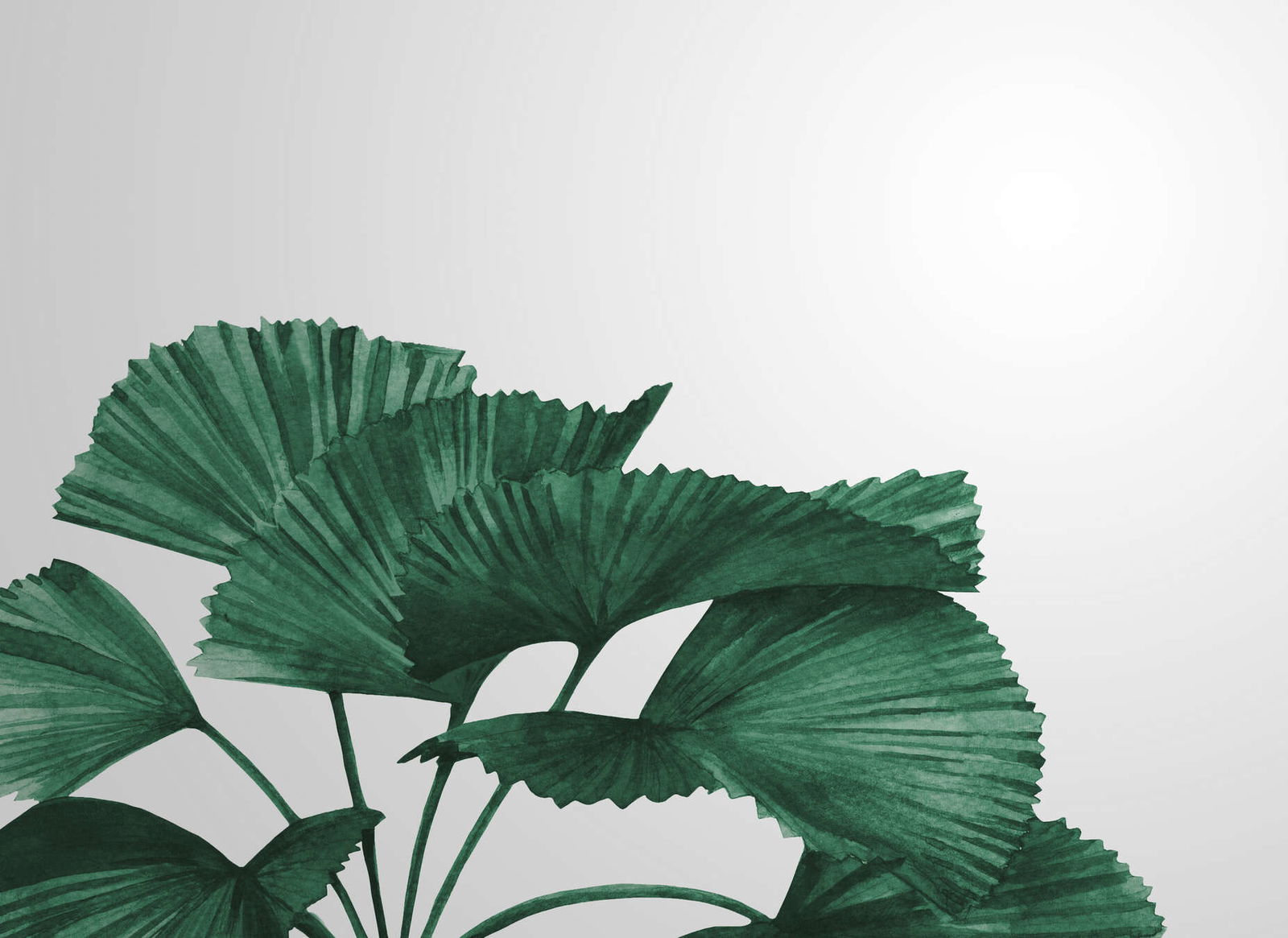 livingwalls Photo wallpaper Designwalls 2