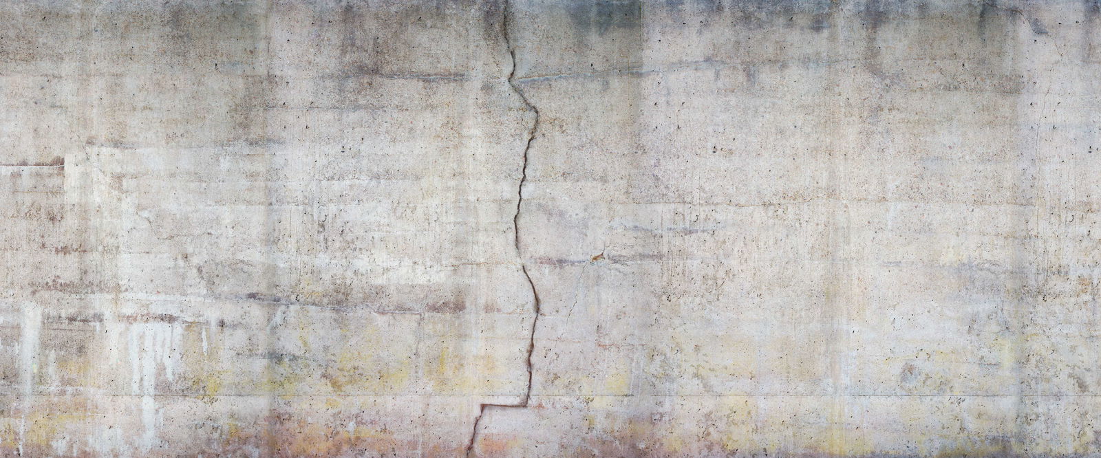 Architects Paper Photo wallpaper AP Digital 4