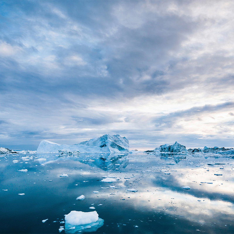 livingwalls Fototapete XXLwallpaper 2