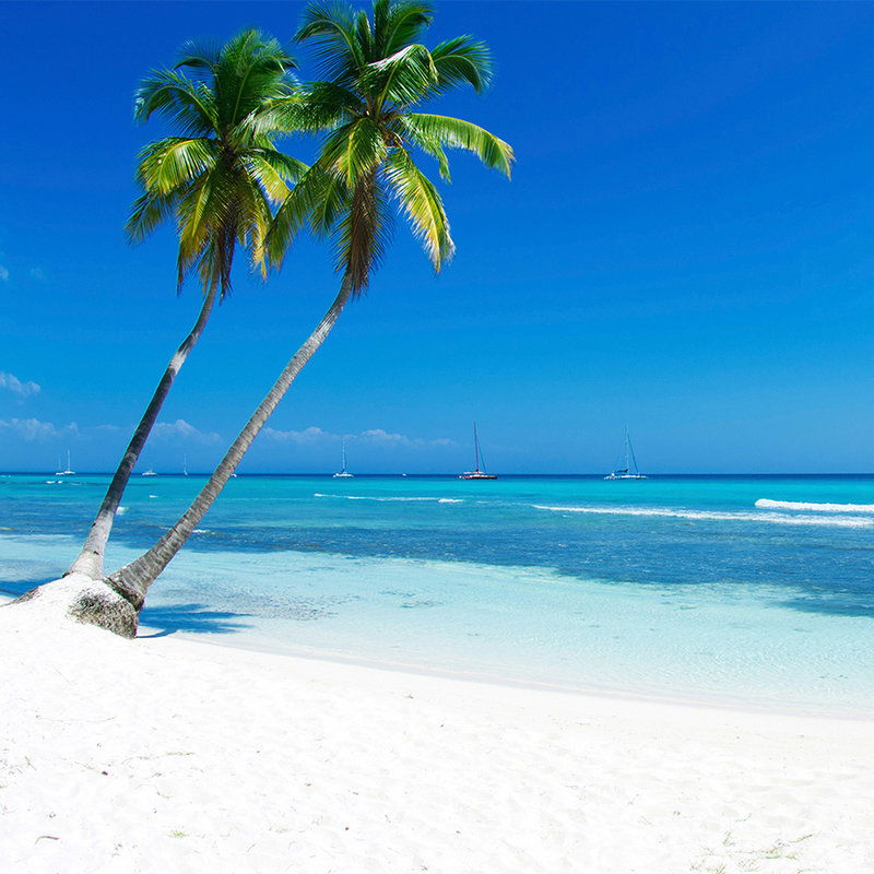 livingwalls impression numérique XXLwallpaper 3