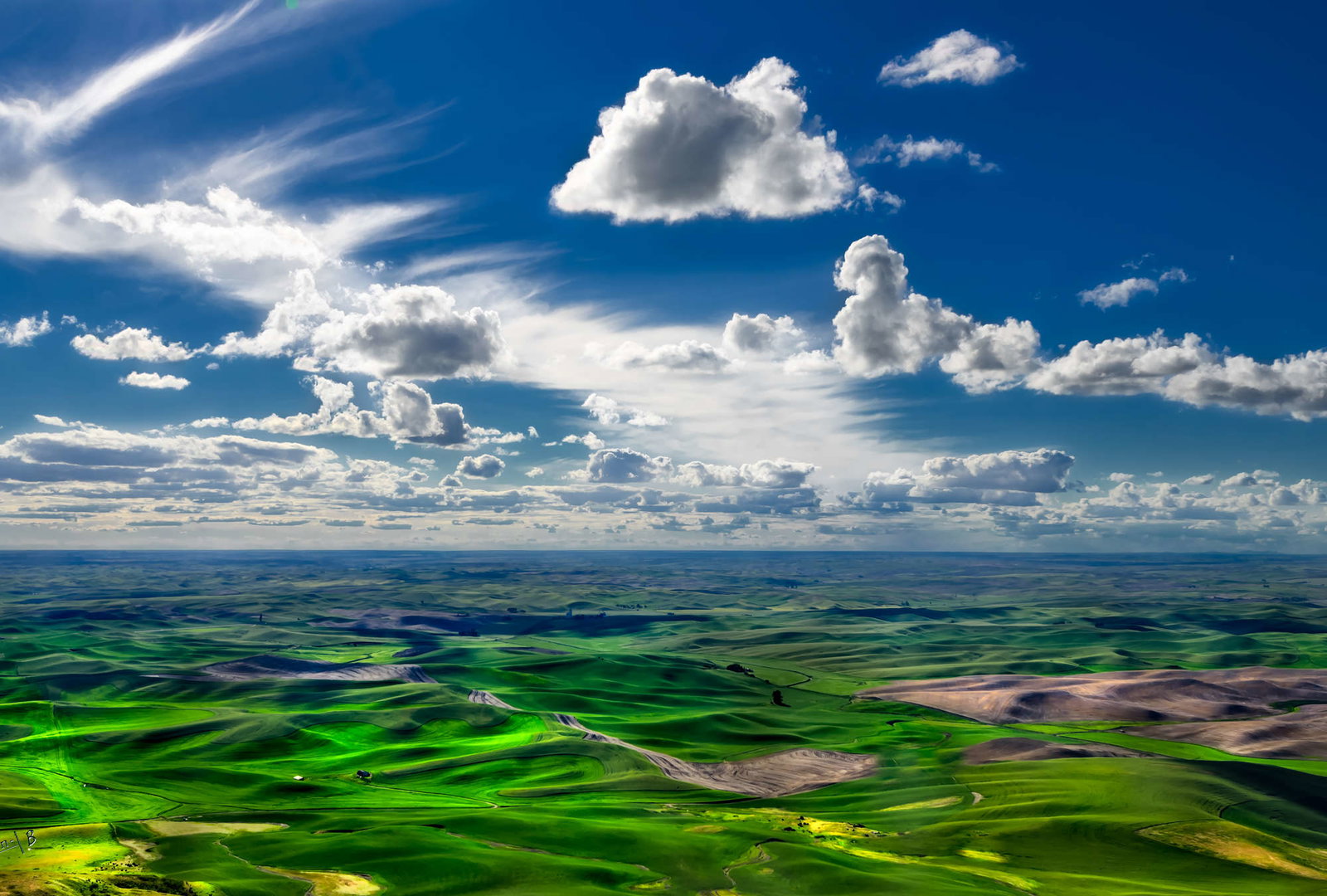 Architects Paper impression numérique AP Digital 2