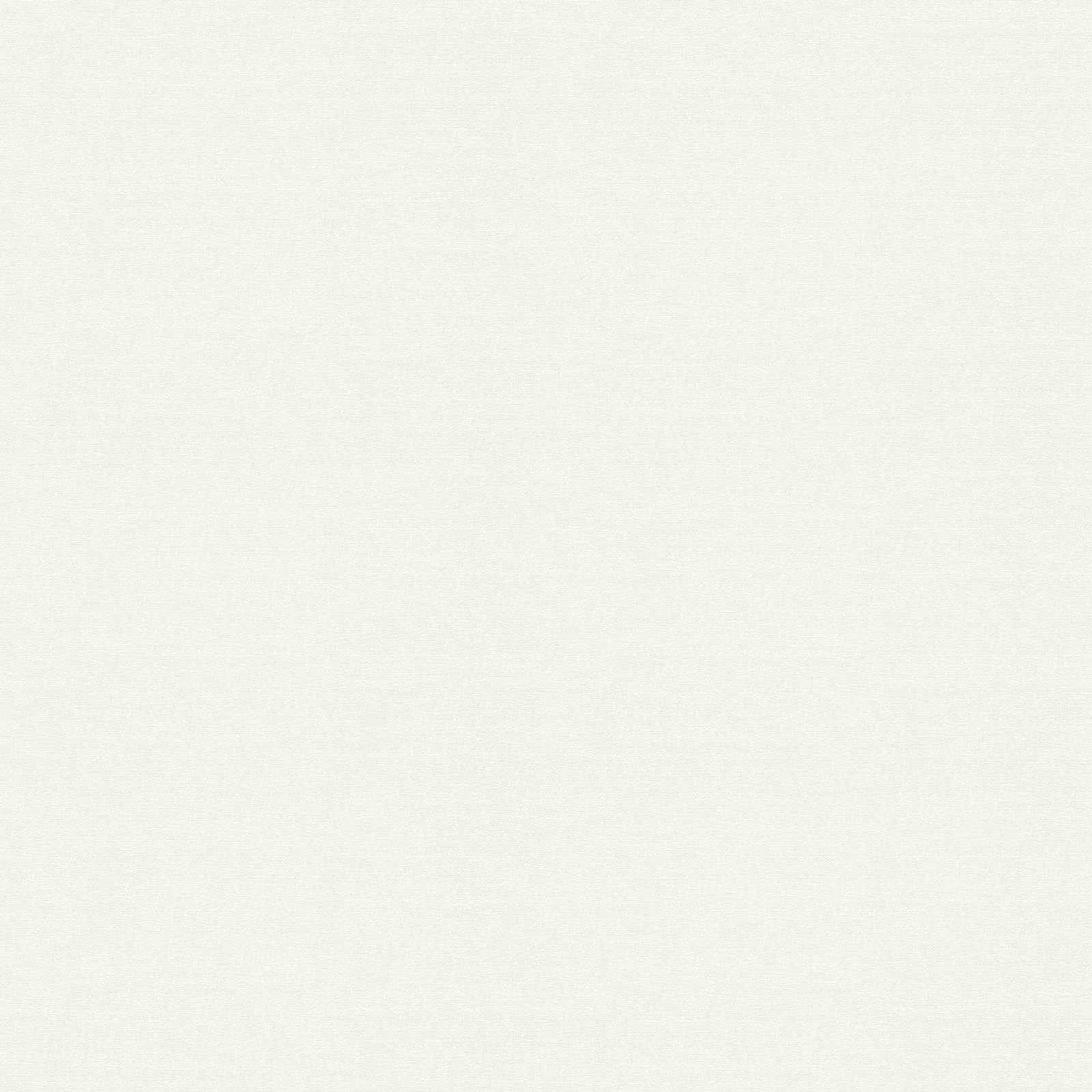 A.S. Création Обои Meistervlies Create A.S. Création Обои Meistervlies Create