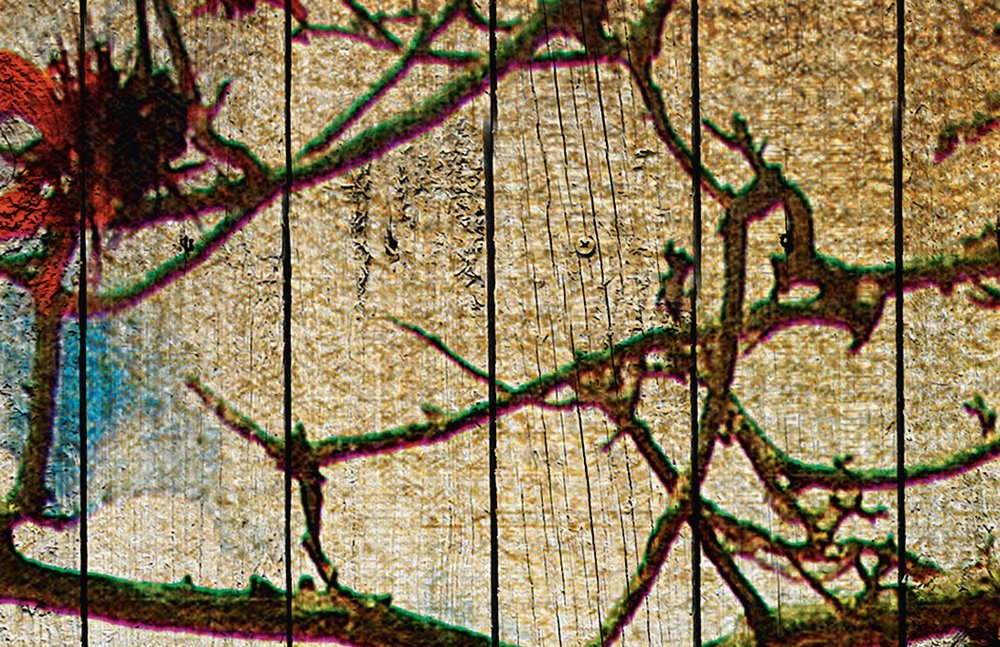 walls by patel Фотообои Walls by Patel 2