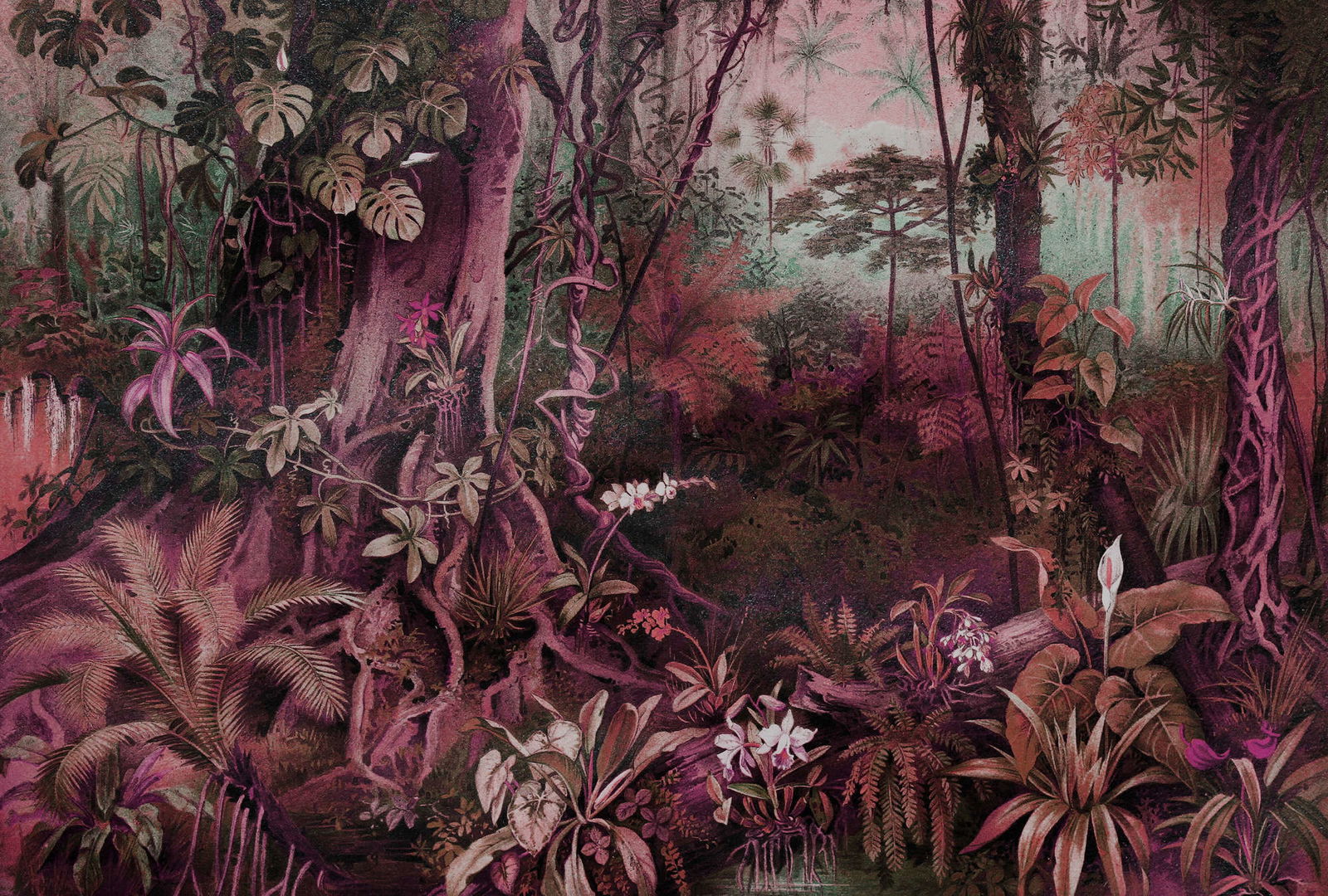 walls by patel Photo wallpaper Walls by Patel walls by patel Photo wallpaper Walls by Patel