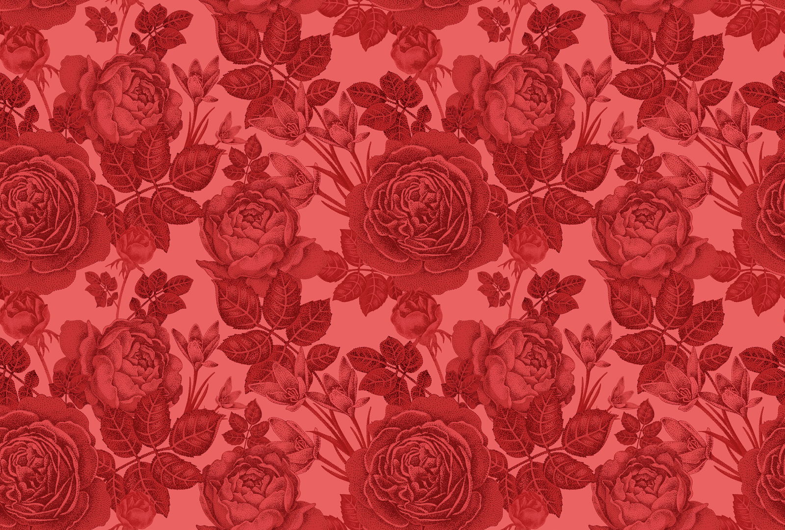 walls by patel impression numérique Walls by Patel