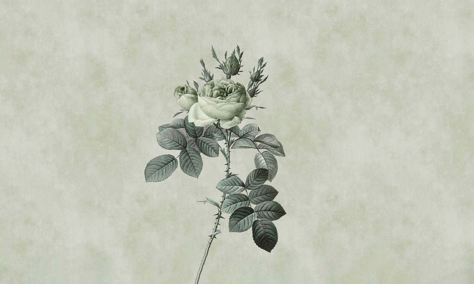 walls by patel Фотообои Walls by Patel