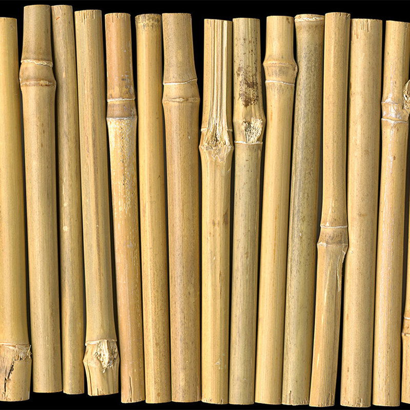 Architects Paper Photo wallpaper AP Digital 4