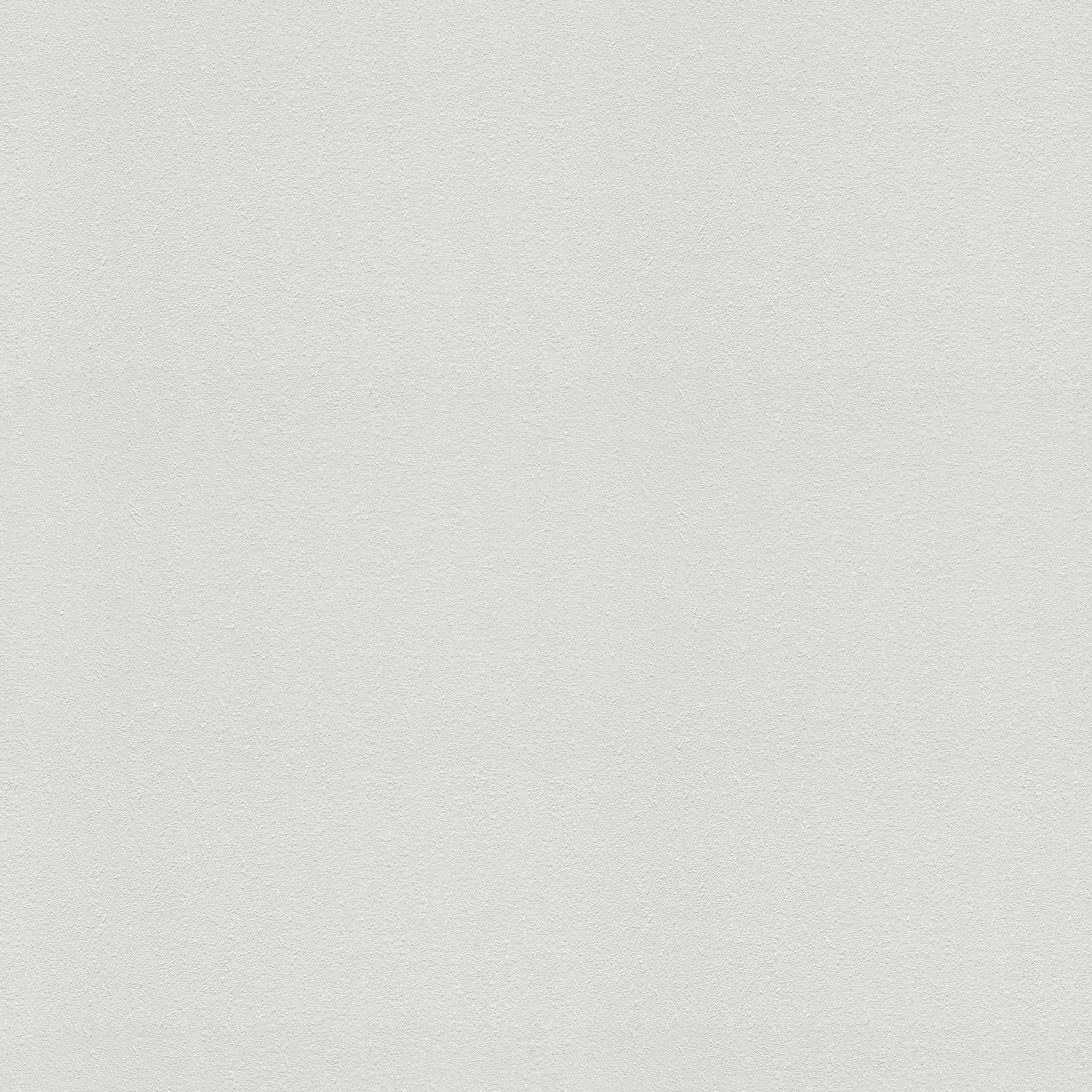 A.S. Création Обои Meistervlies Create A.S. Création Обои Meistervlies Create