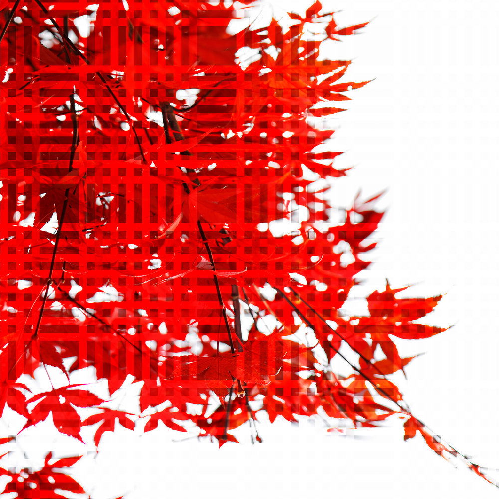 Architects Paper Фотообои AP Digital 4